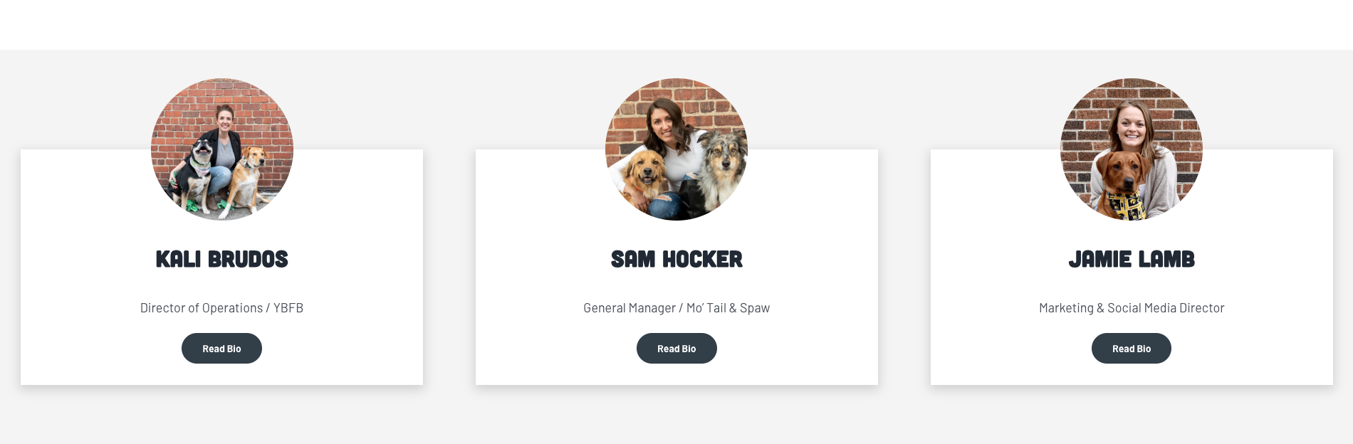 website design